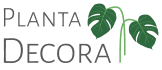 Planta Decora