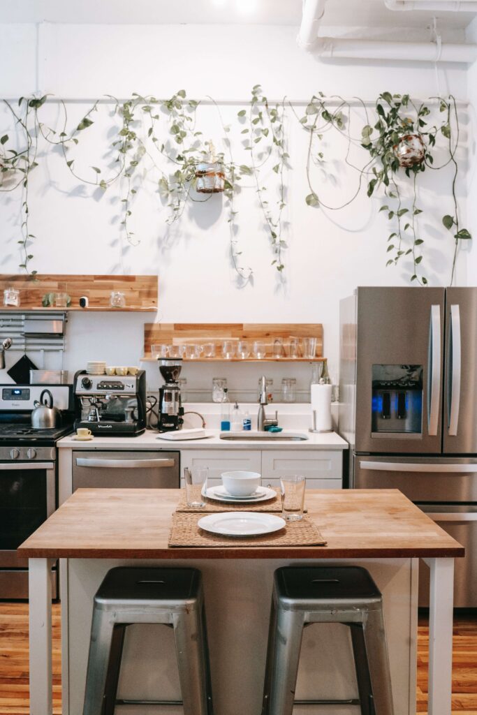 decoração com planta jibóia na cozinha